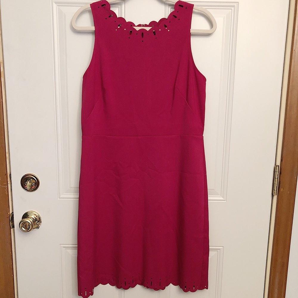 LOFT Fushcia Dress